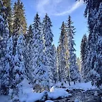 6p- Ski-in Ski-out- Parkplatz- Zentral- Wifi By Interhome Appartement Morgins