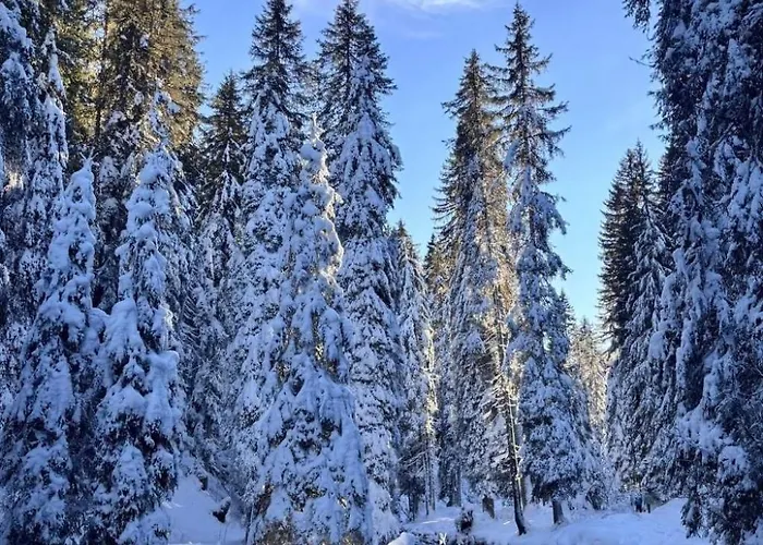 6p- Ski-in Ski-out- Parkplatz- Zentral- Wifi By Interhome アパート モルジャン