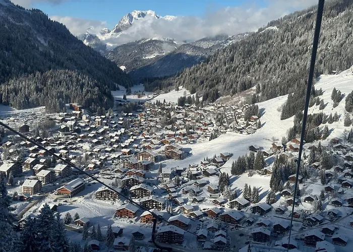 6p- Ski-in Ski-out- Parkplatz- Zentral- Wifi By Interhome モルジャン