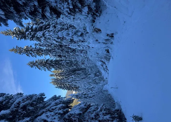 6p- Ski-in Ski-out- Parkplatz- Zentral- Wifi By Interhome