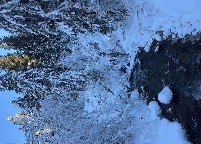 6p- Ski-in Ski-out- Parkplatz- Zentral- Wifi By Interhome * モルジャン