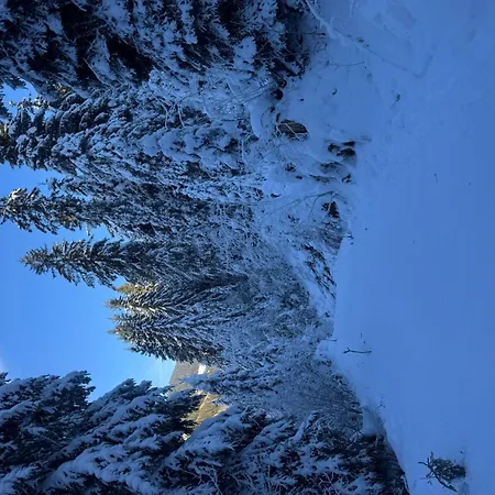 6p- Ski-in Ski-out- Parkplatz- Zentral- Wifi By Interhome